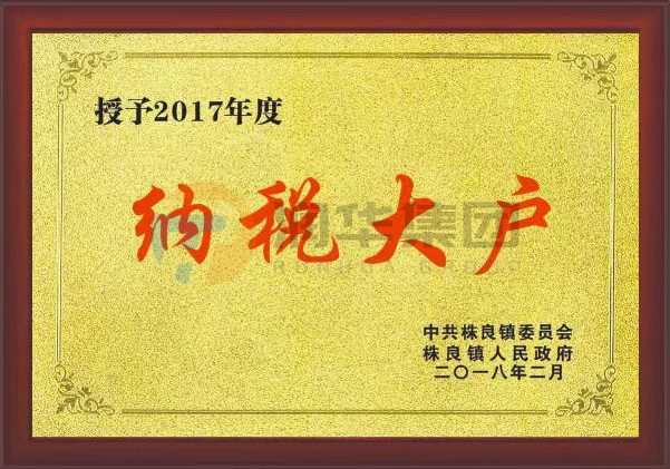 2017年度纳税大户