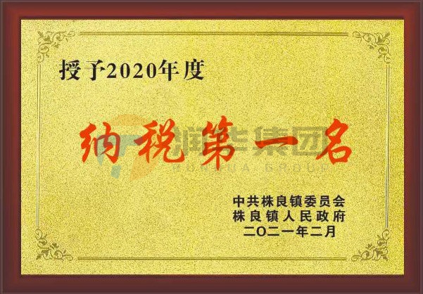 2020年度纳税第一名