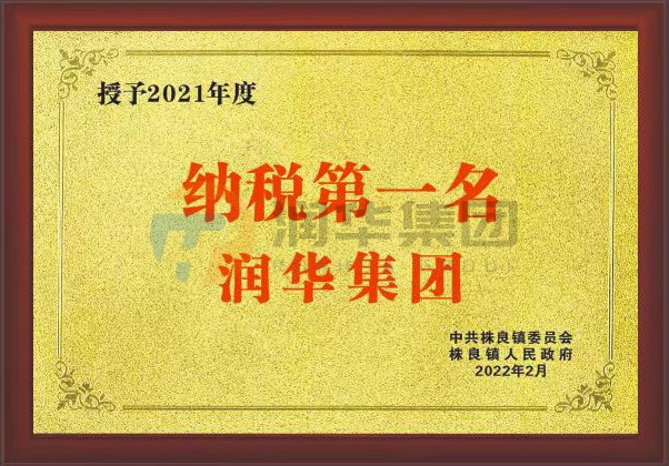 2021年度纳税第一名